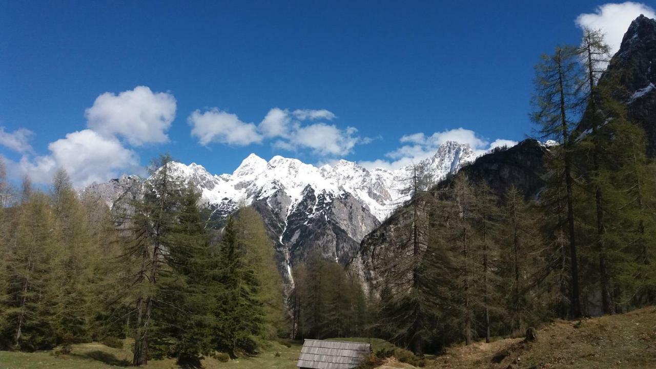 Appleby Kersnik * Bohinj
